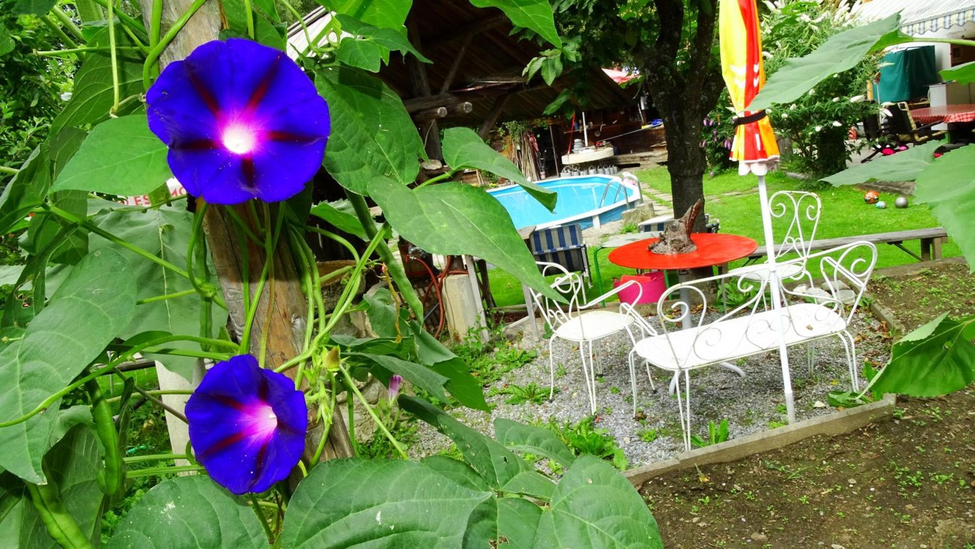 Ferienhaus-Roemerthurm Schoeder Luaran gambar